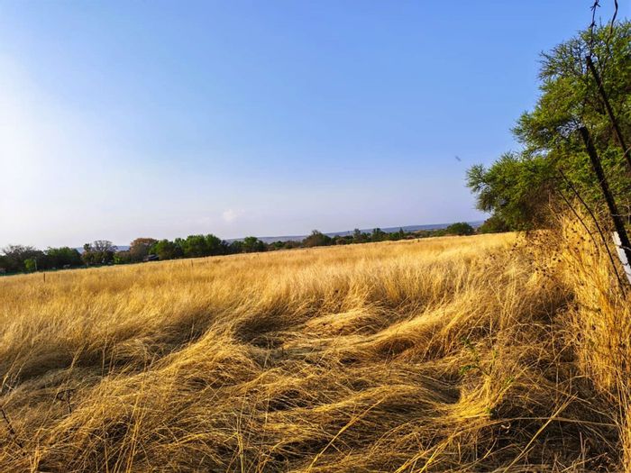 Vacant Land Residential in Modimolle Central - 4 Adjacent Stands for Sale