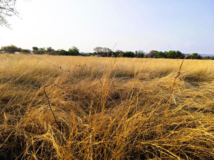 Prime Vacant Land for Sale in Modimolle Central – Ideal for Development!