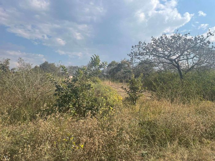 4.1 Hectare Farm in Nelspruit Rural For Sale with Home, Boreholes, and Development Potential.