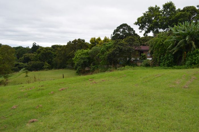 Vacant Land Residential in Albany, For Sale: Exclusive estate, 1655 m², build your dream.