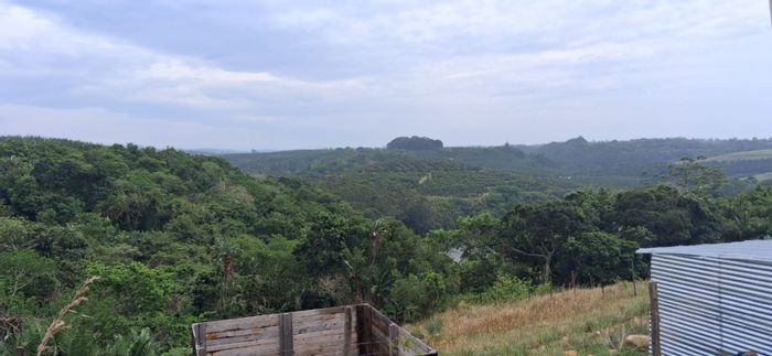 Vacant Land Residential For Sale in Palm Beach - Ideal for Development, 5,000 m².