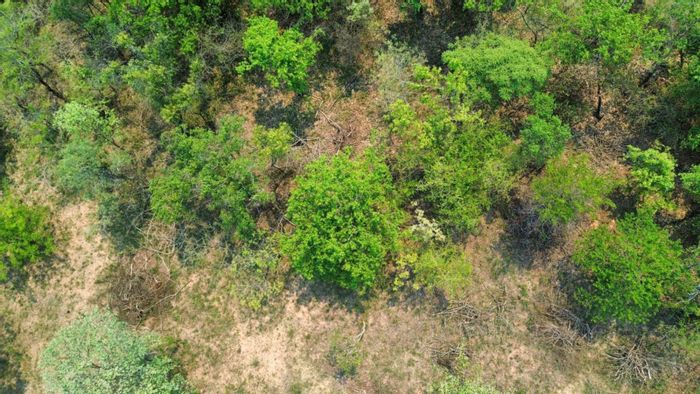 Vacant Land Residential for Sale in Hazyview Central - 8471m2 with wildlife views.