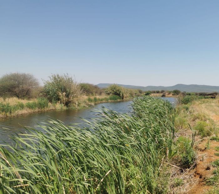 For Sale: Mookgopong Rural Farm with 5-bed home, water rights, and storage.