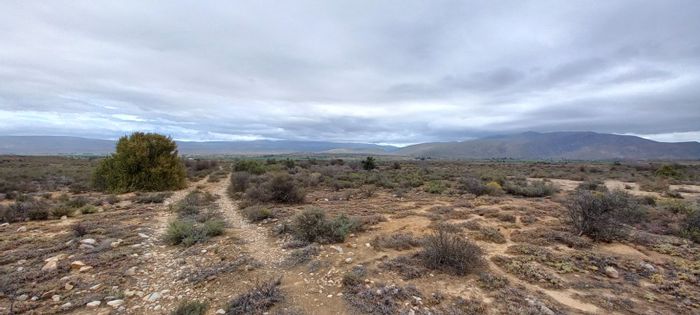 For Sale: Farm in Calitzdorp Rural with vast land, vineyards, and natural beauty.