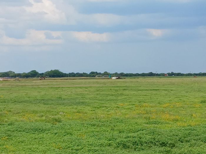 For Sale: Productive 84-hectare farm in Mookgopong Rural with irrigation and amenities.