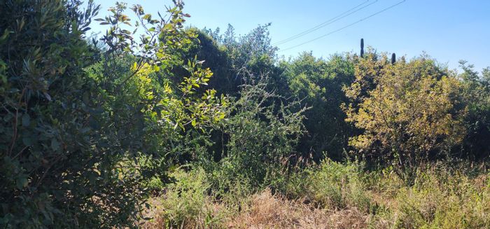 Vaal Marina Central: Vacant Land Residential For Sale with waterfront access and scenic views.