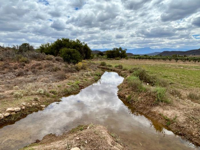 Ladismith Rural Farm For Sale: Organic olive farm with irrigation, water rights, and arable land.