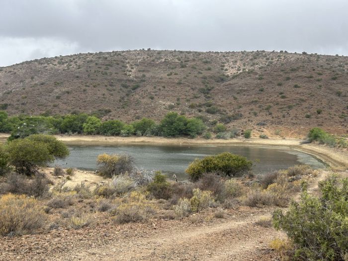 Ladismith Rural Farm For Sale: Exclusive game reserve shares, wildlife, off-grid living.
