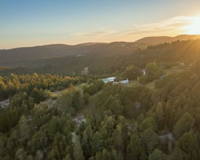 For Sale: Sedgefield Rural Farm with organic land, cottages, and natural beauty.