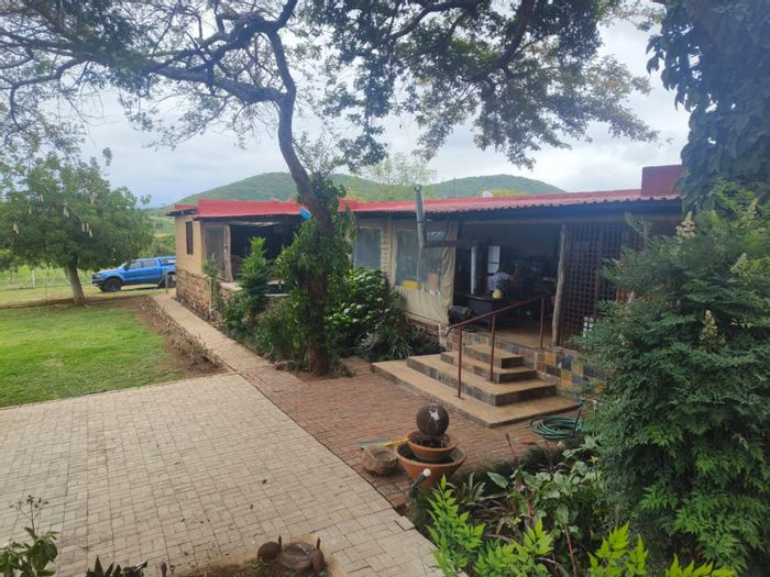 Farm for Sale in Barberton Rural: 4 Bedrooms, splash pool, borehole, and macadamia trees.