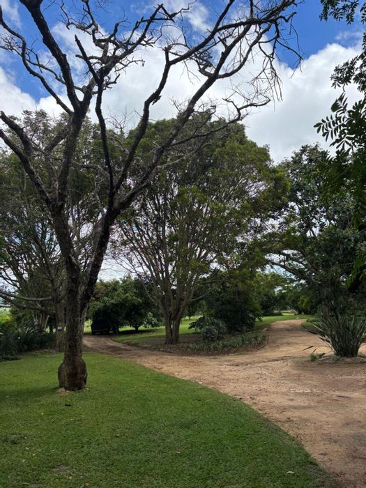 Farm for Sale in Alkmaar: Versatile smallholding with water supply and income potential.