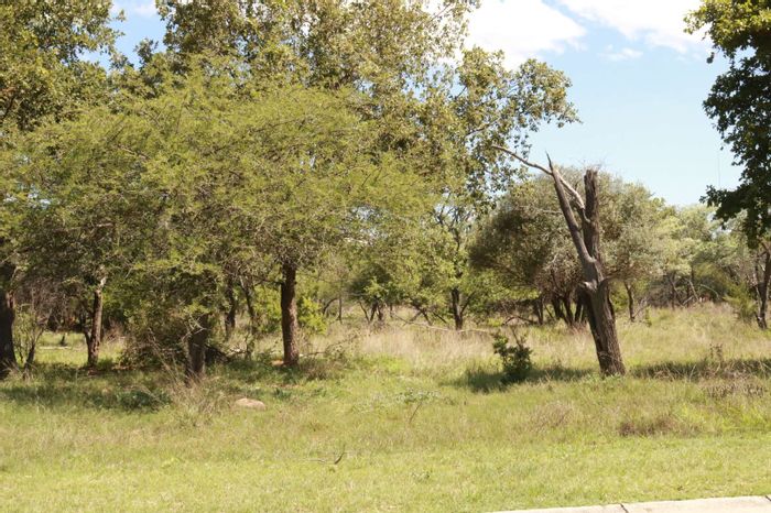Koro Creek Golf Estate: Vacant Land Residential for Sale with golf course and game farm access.