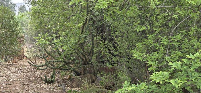 Prime 1,352 sqm Vacant Land for Sale in Vaal Marina Central, Load-shedding exempt.