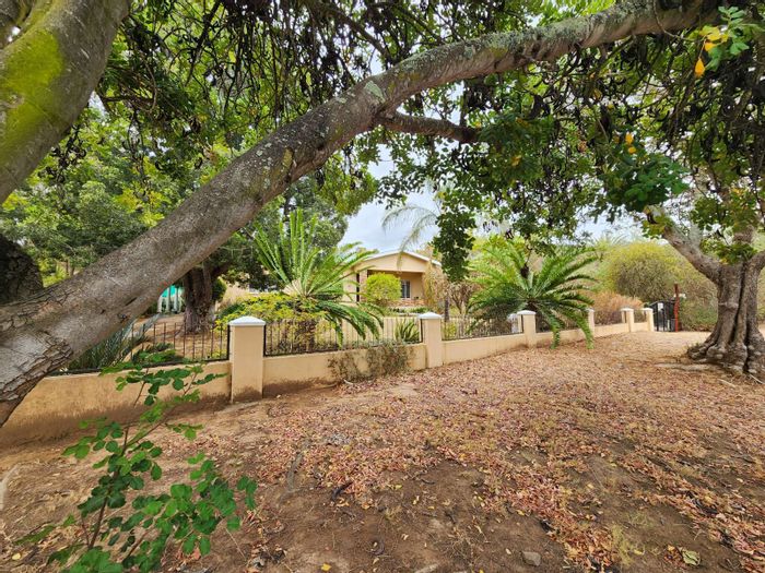 Ashton Central House For Sale: Spacious living, garden, garage, and mountain views.