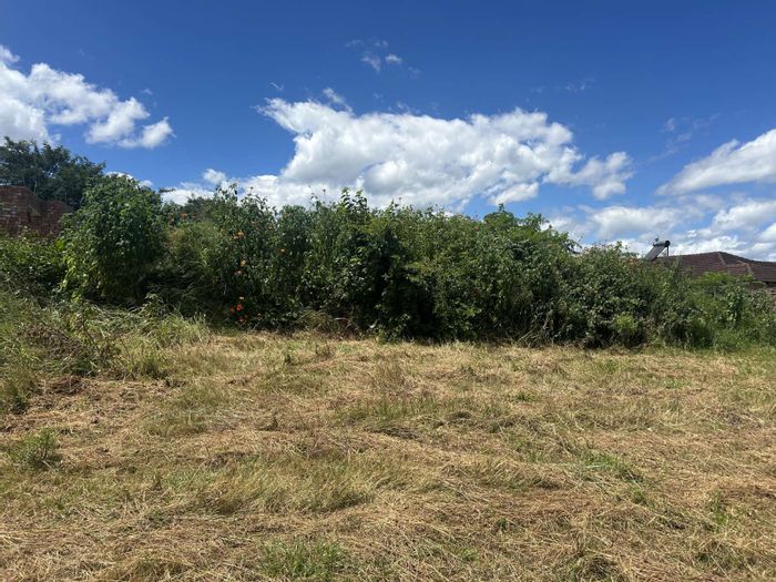 Vacant Land Residential for Sale in Louis Trichardt Central with borehole and development potential.