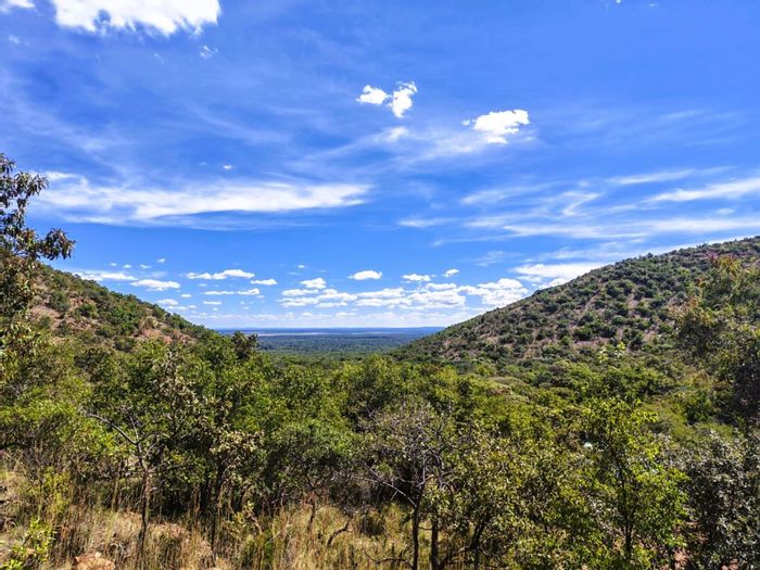 For Sale: House in Bela Bela Rural with 5 suites, pool, and wildlife views.