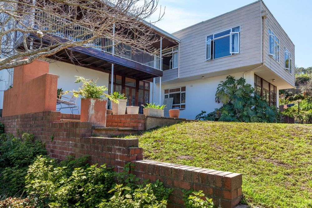 Woodland Wonder - BEFORE