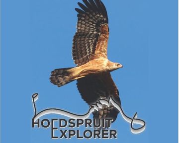 Hoedspruit Explorer - Issue 65 - May 2024