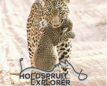 Hoedspruit Explorer - Issue 68 - August 2024