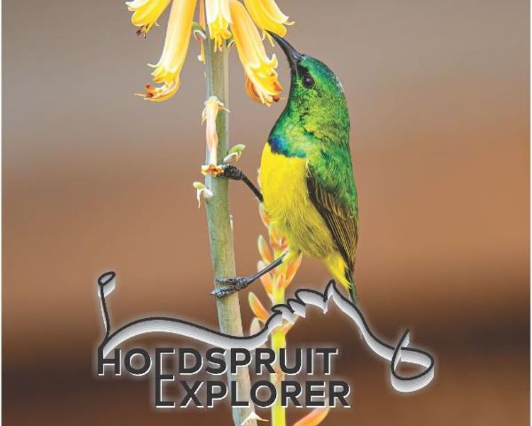 Hoedspruit Explorer - Issue 69 - September 2024