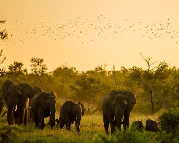 The top 10 wildlife estates in South Africa
