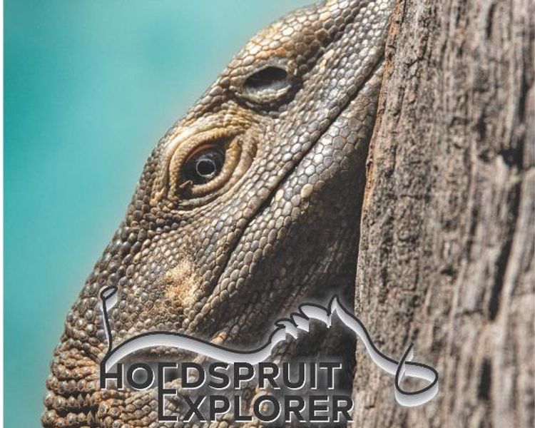 Hoedspruit Explorer - Issue 71 - November 2024