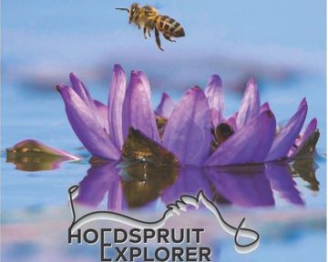 Hoedspruit Explorer - Issue 76 - May 2025