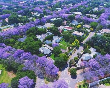 Moving to the Jacaranda City? Here’s What You Should Know About Houses to Rent in Pretoria