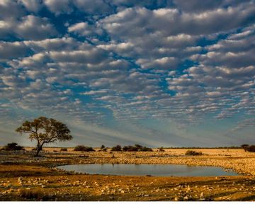 Namibia - Synopsis