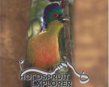 Hoedspruit Explorer - Issue 73 - February 2025