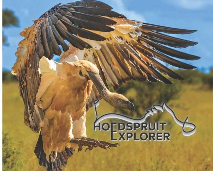 Hoedspruit Explorer - Issue 81 - October 2025