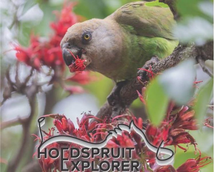 Hoedspruit Explorer - Issue 83 - Dec/January 2026