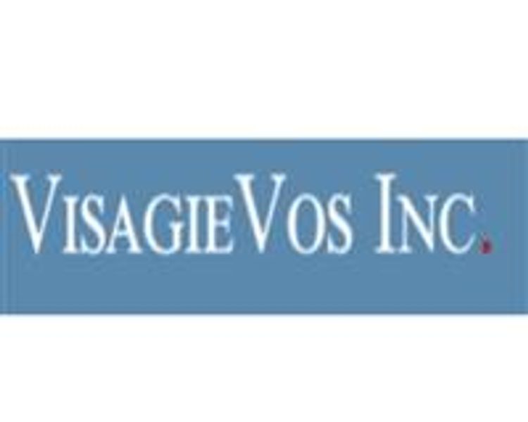 Visagie Vos Inc. - The Consequences of Making Loans to Trusts