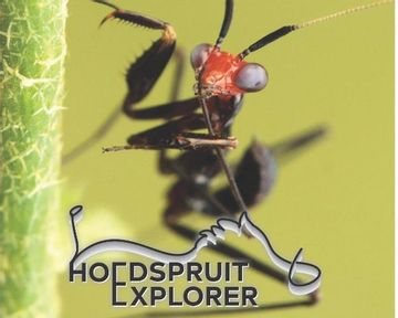Hoedspruit Explorer - Issue 45 - July 2022