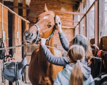 Kyalami equestrian property demand lifts on lifestyle shifts