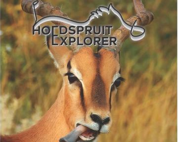 Hoedspruit Explorer - Issue 48 - Oct 2022