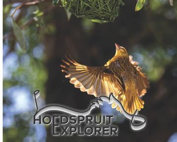 Hoedspruit Explorer - Issue 55 - June 2023