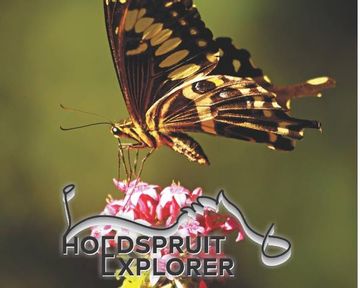 Hoedspruit Explorer - Issue 58 - September 2023