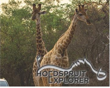 Hoedspruit Explorer - Issue 51 - Feb 2023