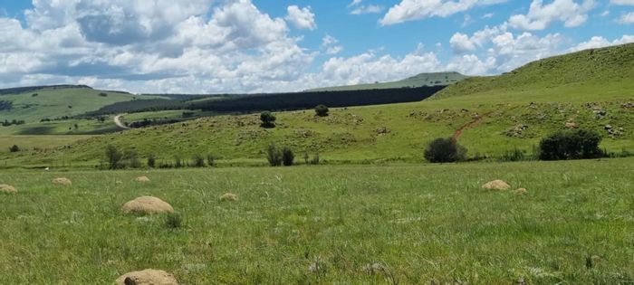 Property #1456270, Farm for sale in Vryheid