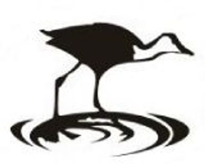 Carla Trevelyan photo